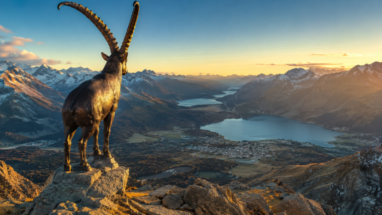 Piz Nair, St. Moritz, Graubünden, Switzerland